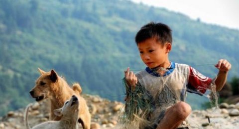  病态：农村出现“新病态”，“伪寡妇、留守男”越来越多，为什