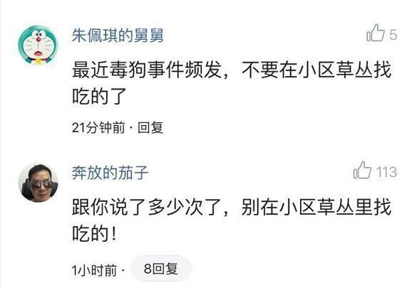 黄毅清自称遇害，嫌疑人被抓，一个细节暴露真相，是心虚还是说谎
