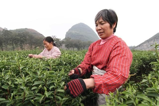 2019春分具体时间，“春分无雨是空年”啥意思？春分过后还冷吗？