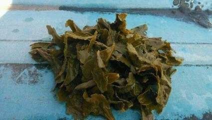 『花盆』客厅垃圾桶里的“它”,不要再倒了,抓一把丢花盆,绿萝疯长不停