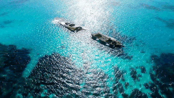 这个海岛马上大火，趁着便宜~你真的不来看一看吗?