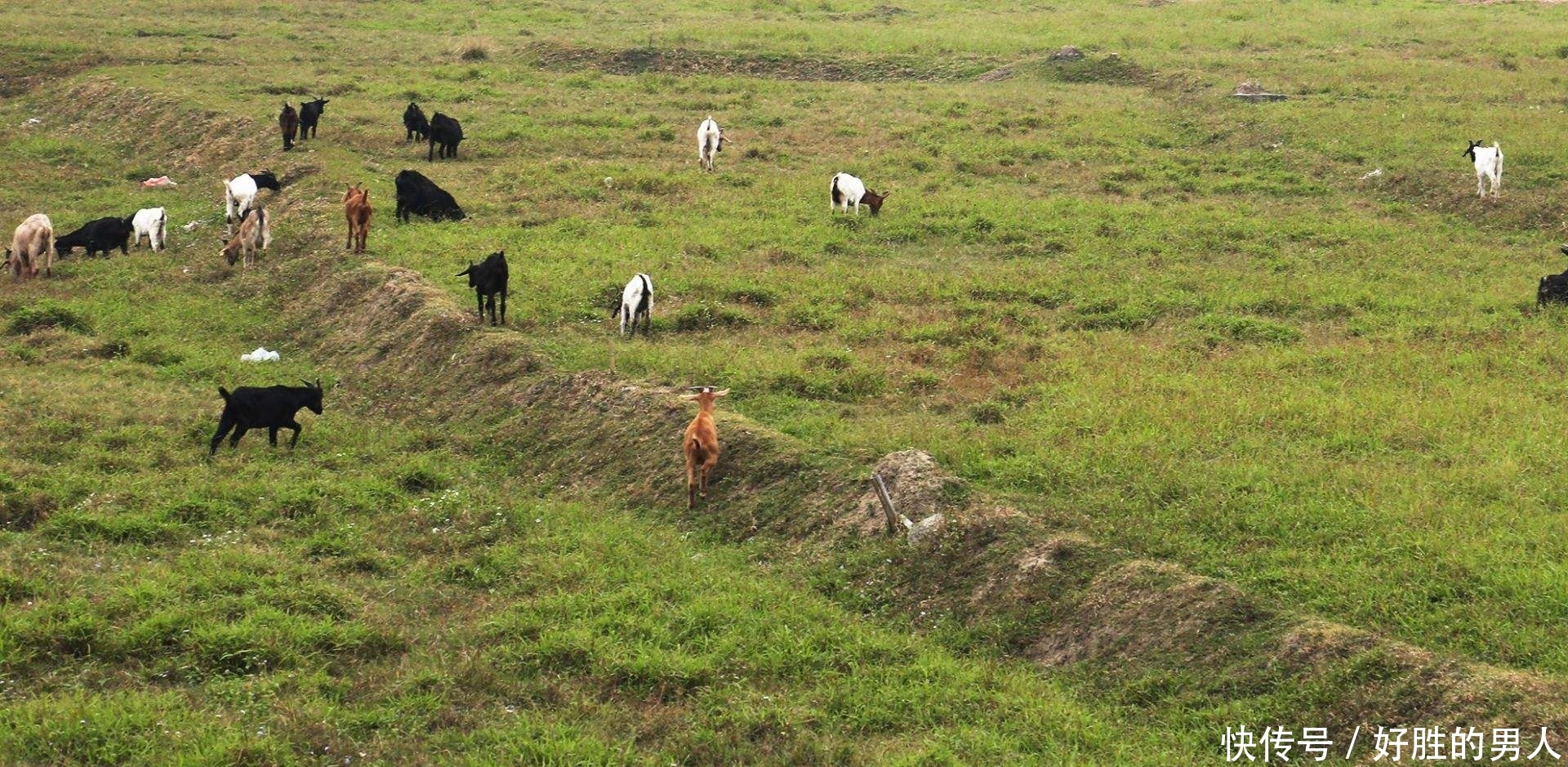 「亲戚关系」再过10年，农村最值钱的东西是土地吗？不，可能是