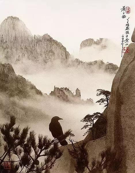 绝了，这真的是摄影，不是画的，看看大师之作！