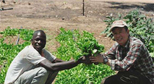  「非洲」非洲人为何宁愿喝浑水，也不愿种庄稼打水井，原因其实