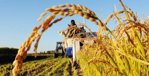 中国一设备，传到非洲竟变成了神器，还改善了非洲人的懒惰