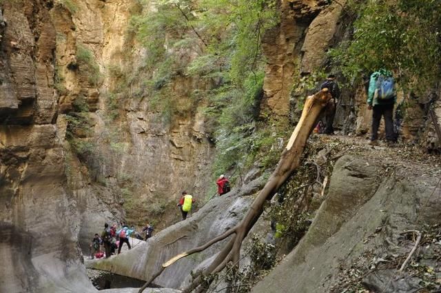 太行山悬崖上这个山村，至今仍然没有通公路，想上山只能步行