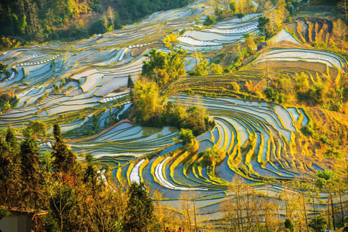 旅游不想花太多钱？国内这一旅游景点，便宜又好玩！