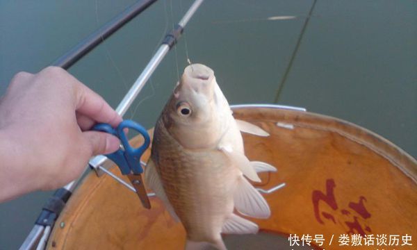  [鱼率]实话实说：春钓大鲫鱼，还是这种调漂最好用，鱼口清晰中鱼率飙升