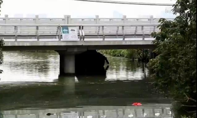 通往阳澄湖小河散发恶臭 阳澄湖美食美景背后污染问题调查