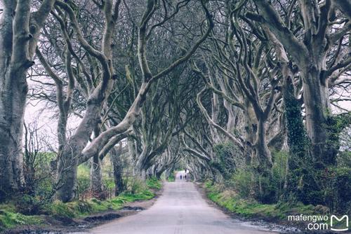 北爱尔兰-大自然的鬼斧神工