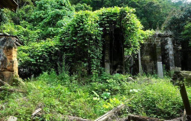 误入深圳大山深处无人村，村子荒芜人烟，一个人走在村子瘆得慌