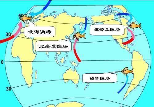 世界四大渔场分别在哪里 各是怎么形成的 盛产什么鱼类