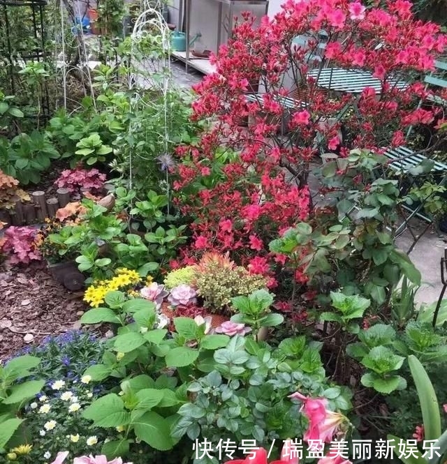 「平方」有了30平方的小院,能将日子过成了诗?简单而精致,优雅而从容!