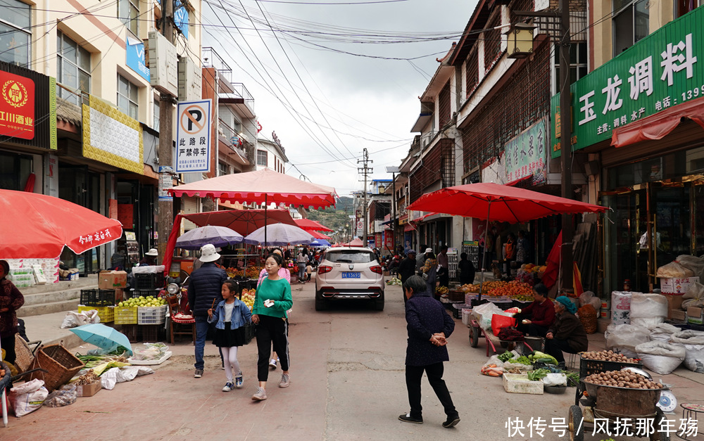 我在哈达铺给您讲长征,在传播红色文化中成长成熟,美丽并快乐着