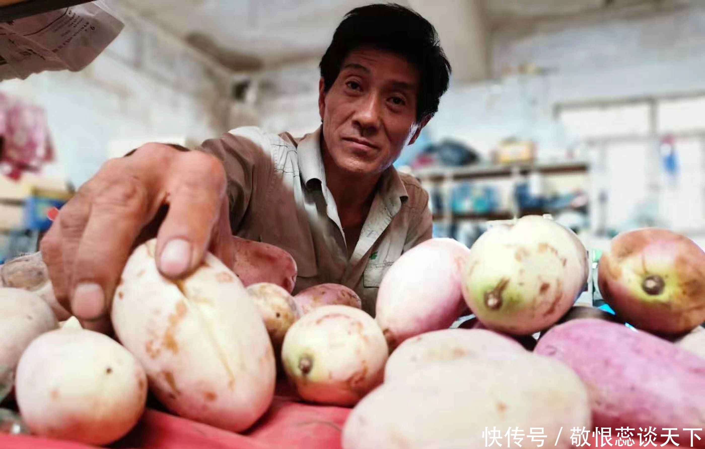  野果■农民大爷从山上挖回10苗野藤，5年繁殖400株，年赚10万元