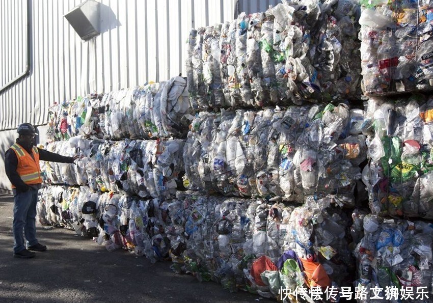  「美差」农村这4项“美差”别错过，不用背井离乡，自己当老板年