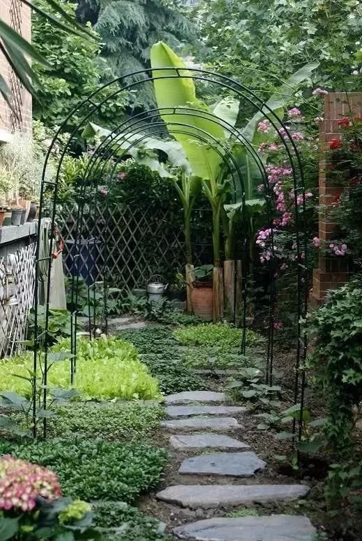 回农村 早院子，可劲造