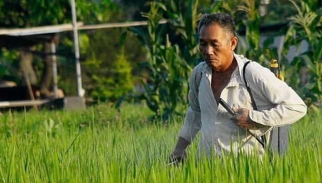  #后代#农村曾经的地主后代，如今生活得怎么样，还是有钱人吗？