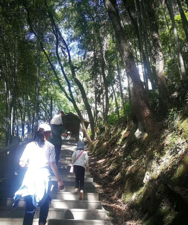 「逍遥自」几多春风几多景,不少春雨不少情