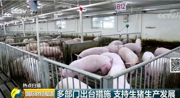  「二师兄」重磅！这样养猪，国家最高补助500万元！多条硬措施稳