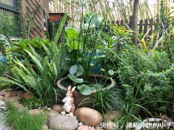  「李小姐还」她将荒芜的后院，改造成最美花园，完工一年后，让人惊艳