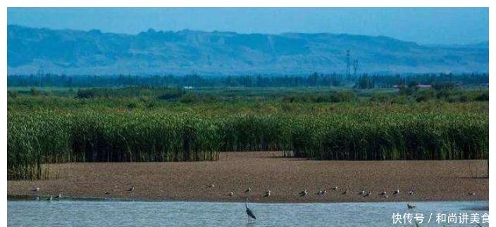 沙漠中的奇迹,这片沙漠中不仅有众多泉眼,还能在里面捞螃蟹