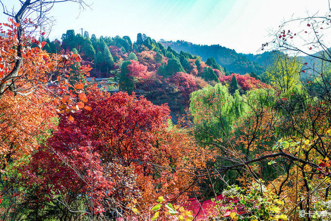 红遍万山的红叶谷【2020热门旅游景点】