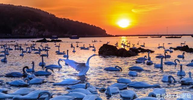 山东最神似的2个城市,比枣庄 临沂还相似,不是潍坊 淄博