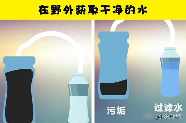 『捕食者』8个或许可以在紧要关头拯救生命的小技巧