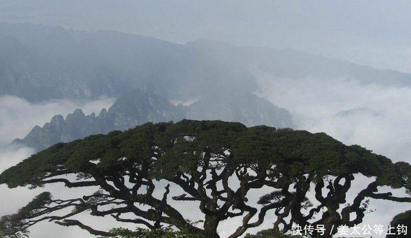 广西名字最好听的城市, 网友称听到这名字就好亲切