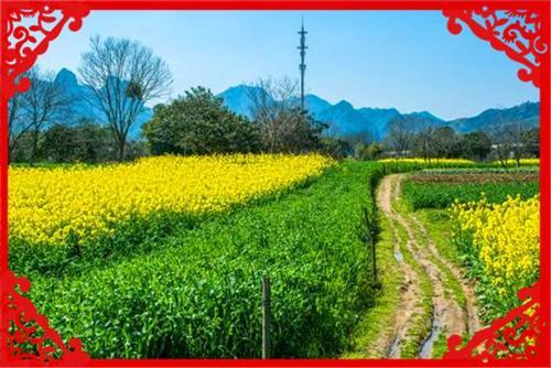  【葡萄】目前农村，一亩地收入过万的种植业有哪些？这几个方面