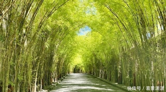 那一刻:在600多平的别墅房睡一晚是啥感觉?推开门那一刻就知道没白来