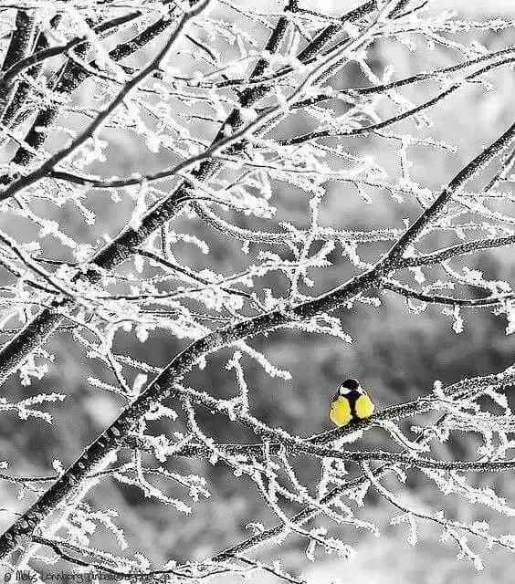 中华美景，太震撼了，向伟大的摄影师致敬！