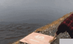 #GIF#爆笑GIF动态图:吓得我赶紧打了一套螳螂拳