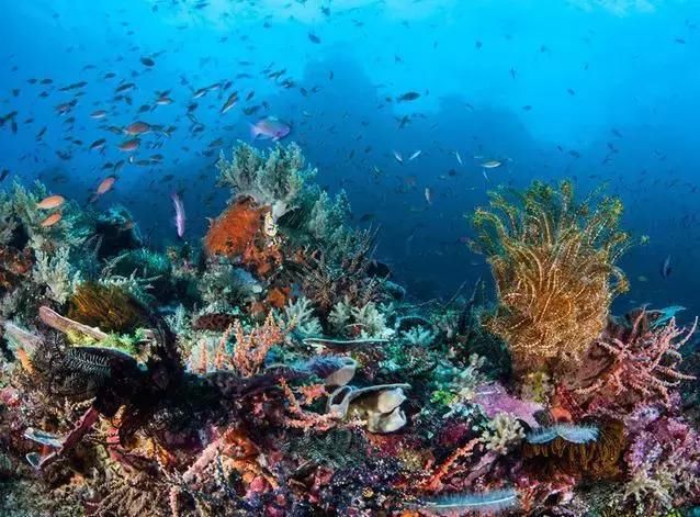 比泰国更值得去的地方，物价超低，国内直飞，最主要是游客安全!