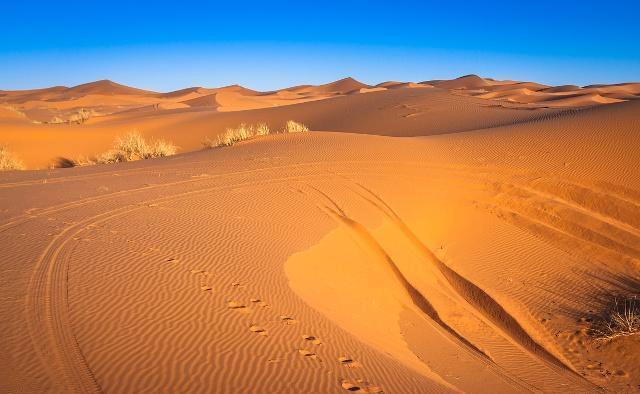 世界上面积最大的沙漠,面积就比我国小一点,诞生于250万年前!