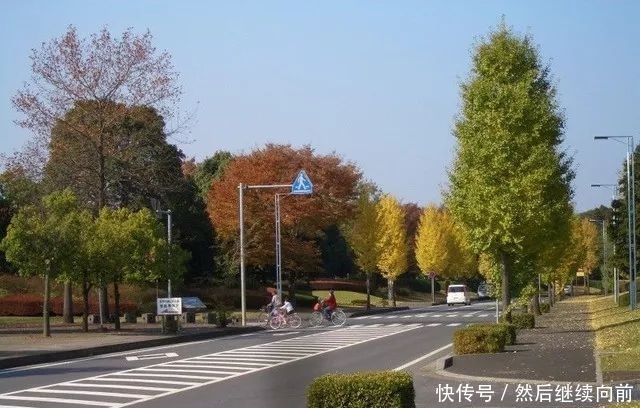  联系我们@日本的农村是怎样的？