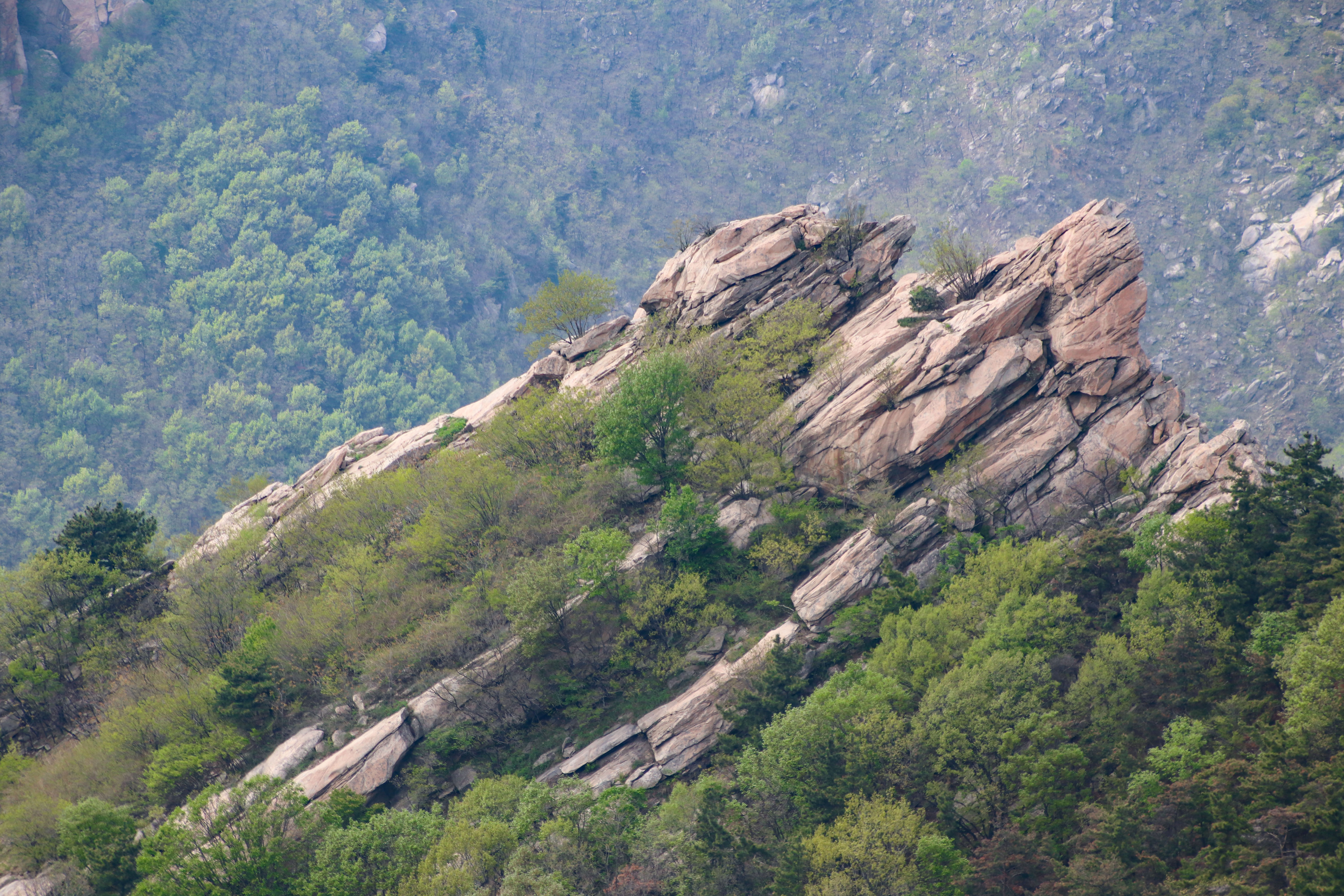 来沂蒙山，我“养”你啊