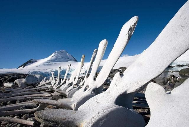 最荒凉地区：面积相当于1.5个中国，却无1人定居，最低气温-89℃