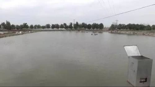  产值@啥养殖新模式？能每亩纯利润近万元，光卖鱼产值就有26万！