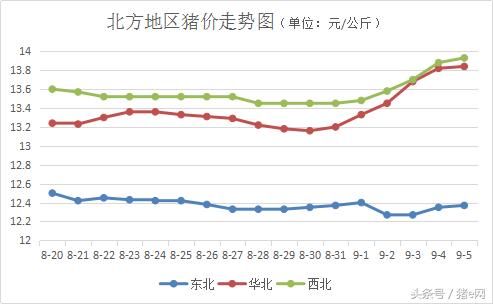 南方猪价继续发力，华东猪价再创新高