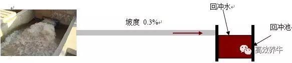 养50头牛——标准化牛舍是这样建设的！