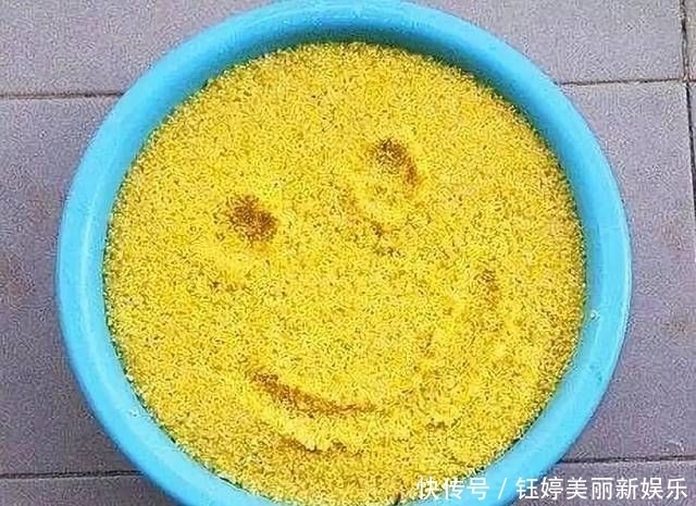 「高效」怎么打窝才能快速高效的诱鱼?