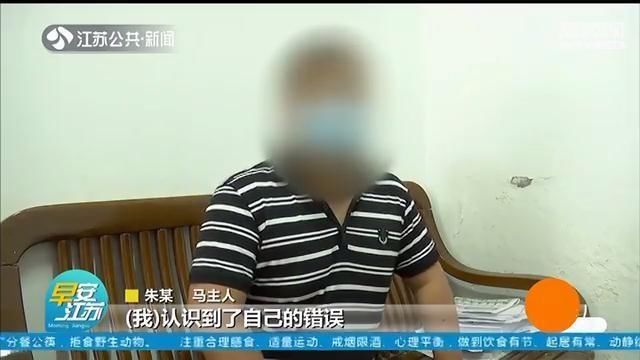 『出行』泰州几个年轻人骑马上路闯红灯 出行“潇洒”但罚单难逃