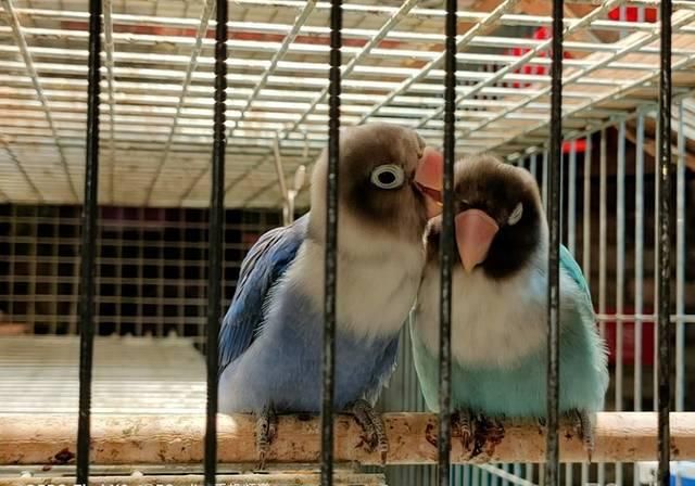  【顶级】OPPO Find X2评测:顶级屏幕,依旧是全能5G旗舰!