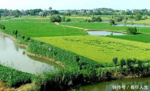  用总体规划@在永久基本农田上，种树、挖塘、养鱼、修路，会导致