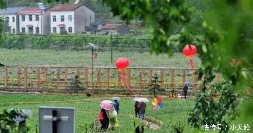  看得起@2019年新农合缴费标准已出炉, 农民: 终于可以看得起大病