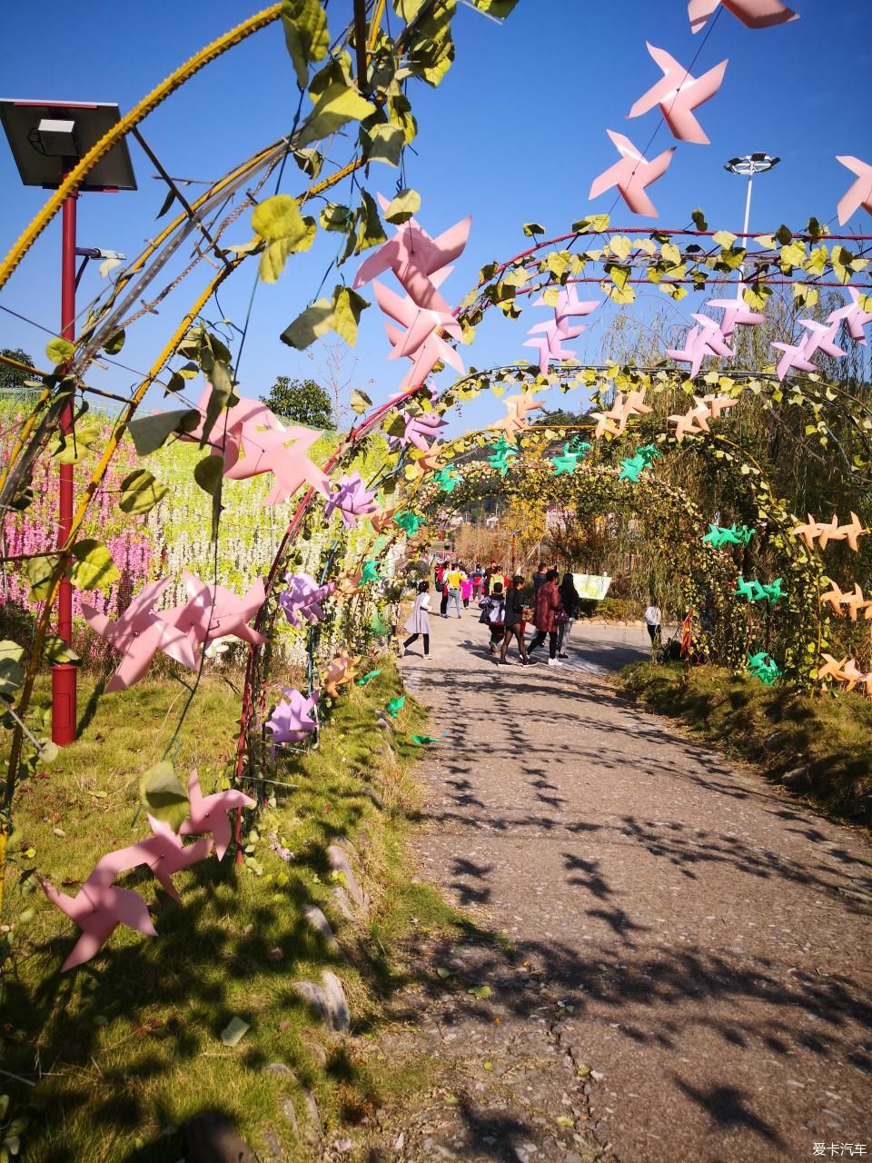 宜昌周边-秭归月亮花谷