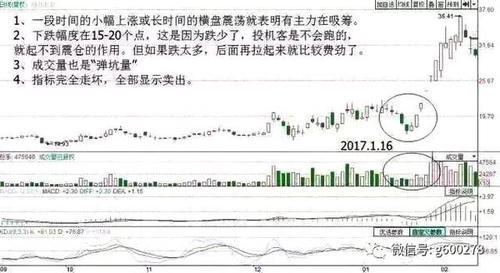 职业操盘手花10年光阴换来的跟庄铁律，价值千万，跟庄吃肉如此简