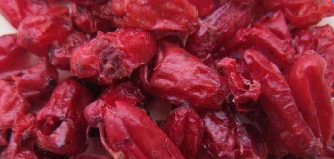 这种果子农村娃都吃过，长得像枸杞，如今一斤40元是一味中草药